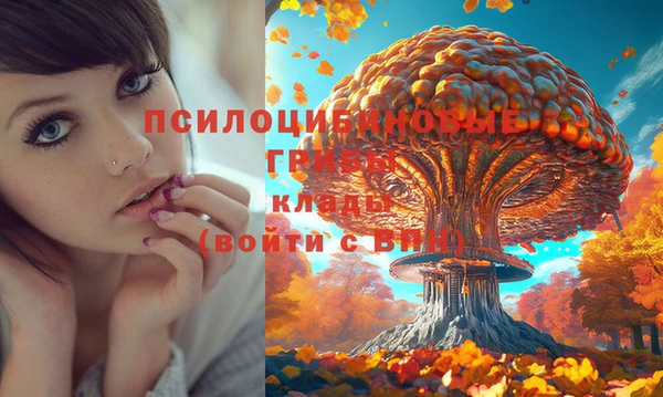 гашишное масло Богданович