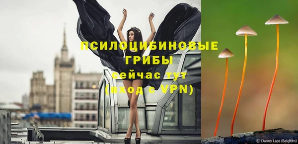 ALPHA-PVP Богородицк